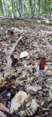 Прикрепленное изображение: IMG_20230718_110633.jpg